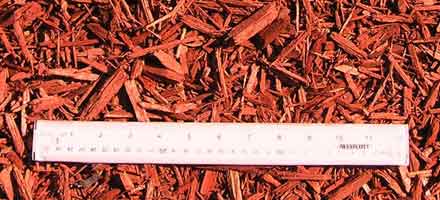  Mulch Express Red 